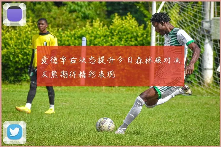 爱德华兹状态提升今日森林狼对决灰熊期待精彩表现