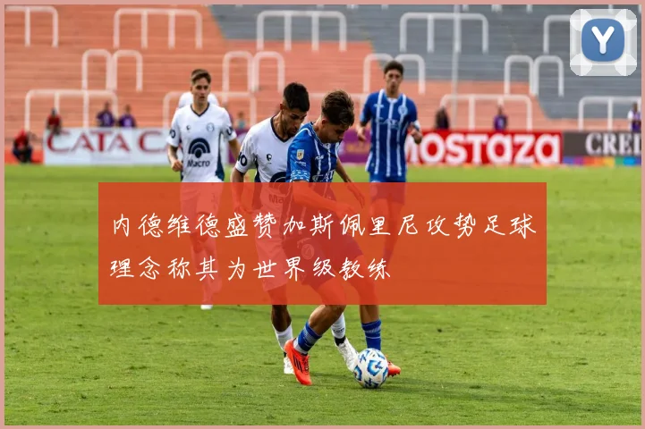 内德维德盛赞加斯佩里尼攻势足球理念称其为世界级教练
