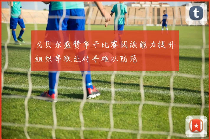 戈贝尔盛赞华子比赛阅读能力提升组织串联让对手难以防范