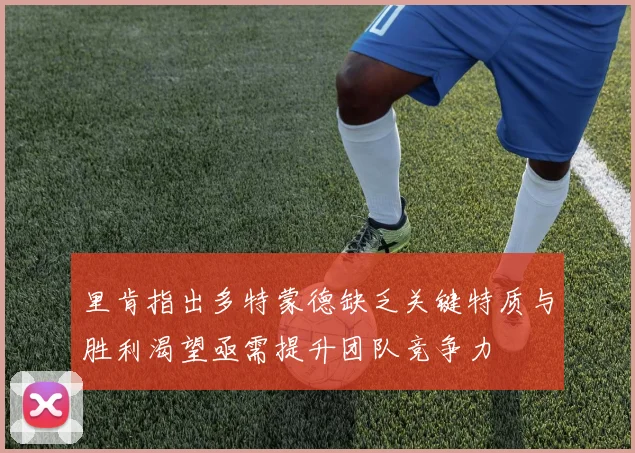 里肯指出多特蒙德缺乏关键特质与胜利渴望亟需提升团队竞争力