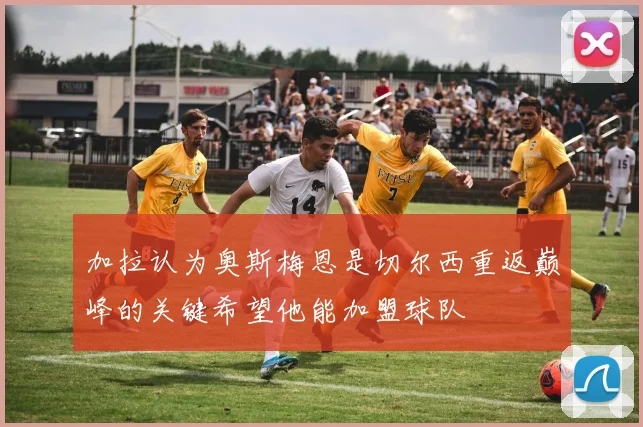 加拉认为奥斯梅恩是切尔西重返巅峰的关键希望他能加盟球队