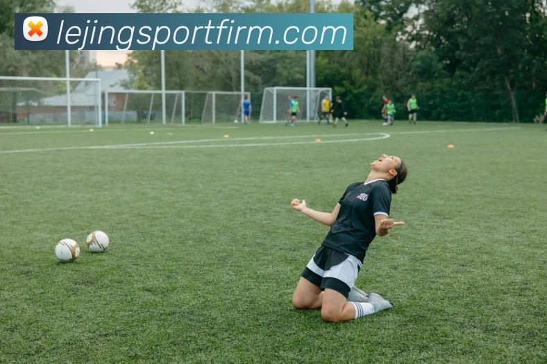 乐竞体育平台生态图